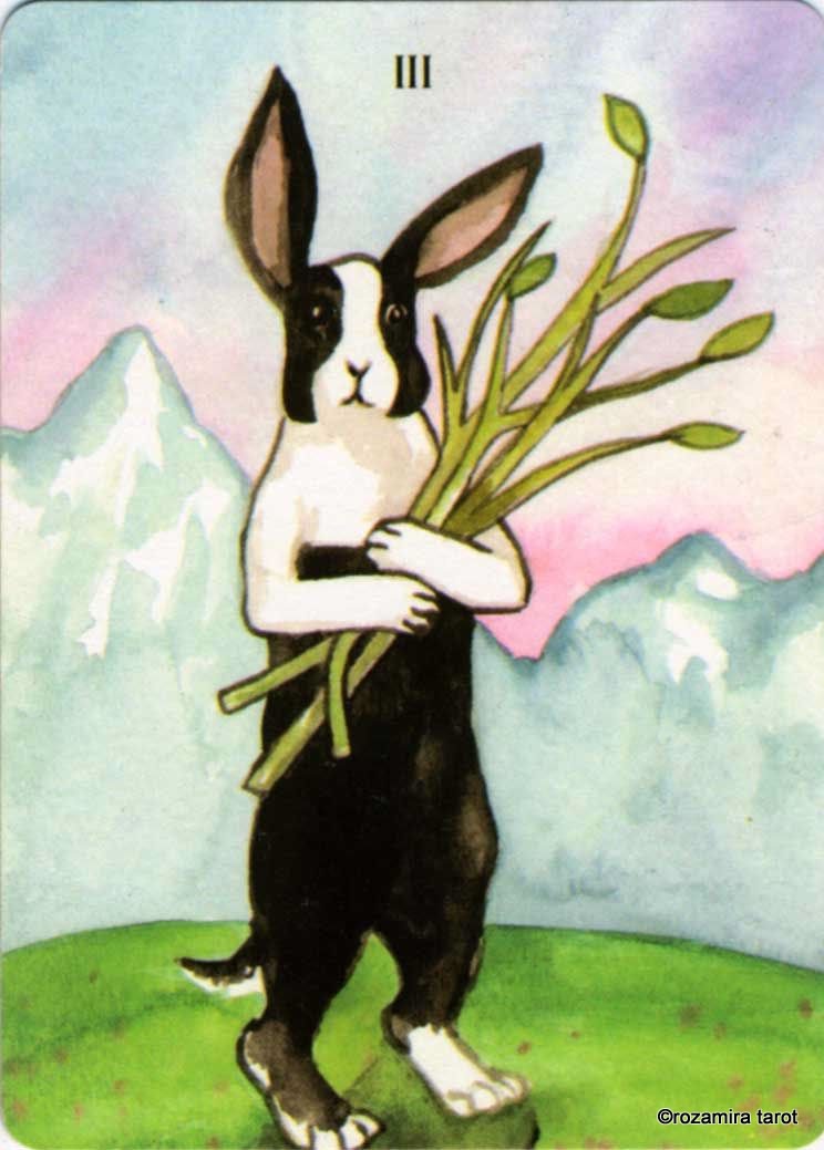 Rabbit Tarot